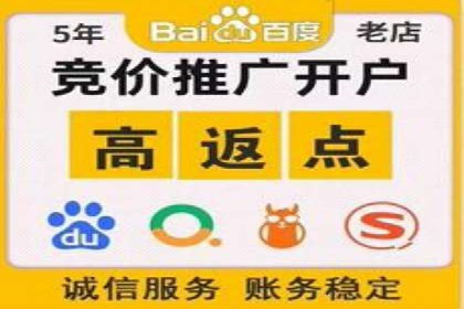 竞价推广代运营：成功案例解析
